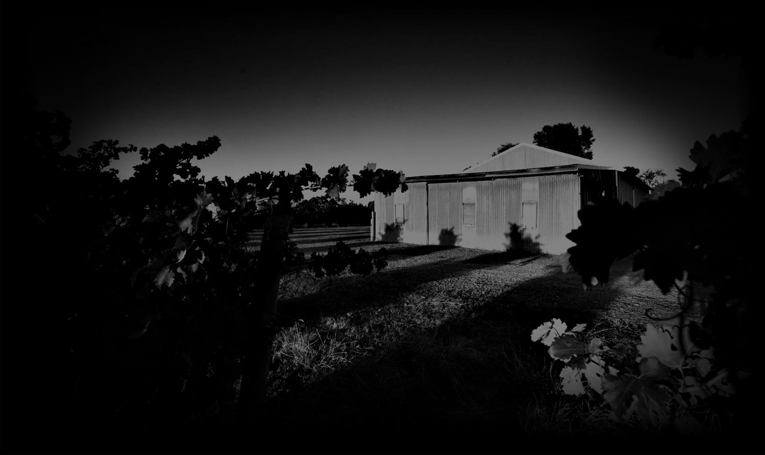 Moody Winery Image